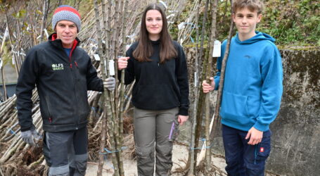 LFS Warth verteilte 800 Obstbäume