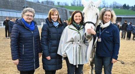 Turnier für junge Talente im Sattel