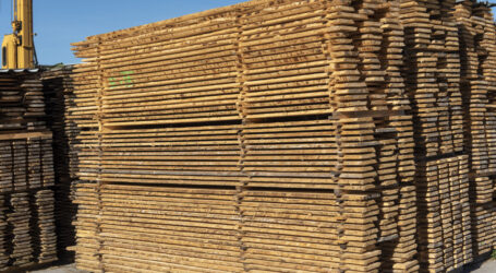 Weiteres Gezerre um Entwaldungsverordnung