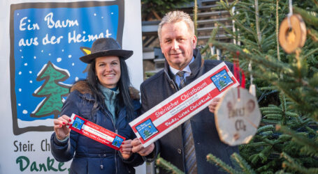 Christbäume bereit für Licht und Lametta