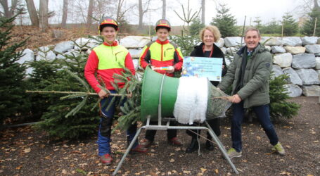 Christbaumverkauf in LFS Pyhra