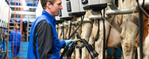 DeLaval bringt neue MA Melkautomation