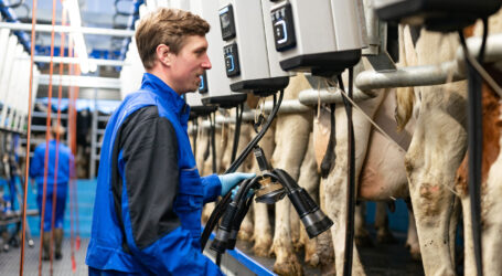 DeLaval bringt neue MA Melkautomation