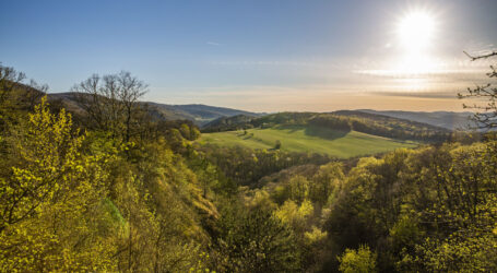 Natura 2000 – europaweites Netz