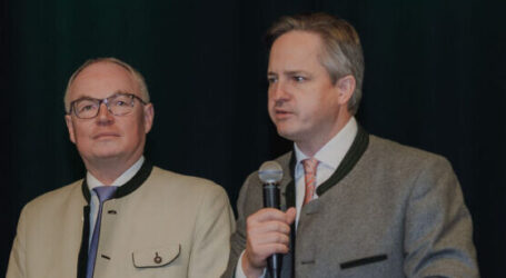 Geld zur Erforschung von Krankheiten im Weinbau