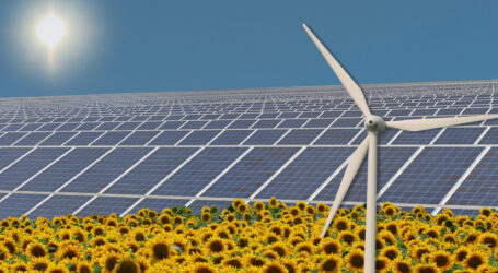 Markt für grüne Technologien wächst rasant