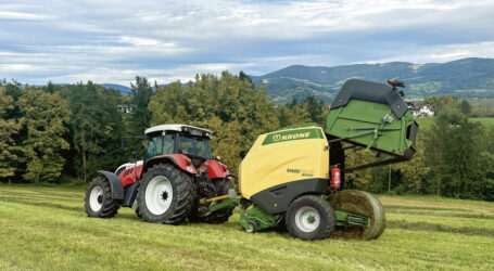 Krone hat den Ballen fest im Griff