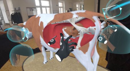 Lernen mit der Brille