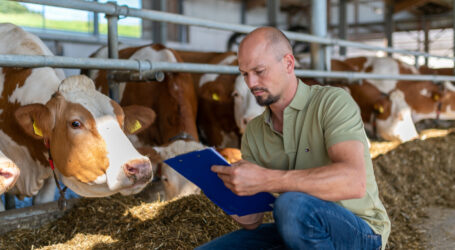 DLG-Roadshow Milch 2025