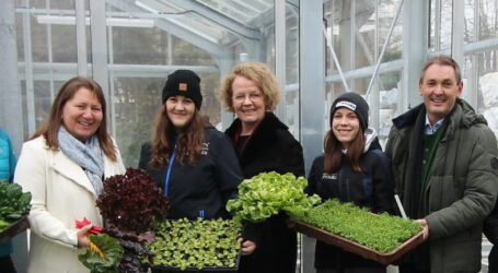 Wintergemüse von der FS Phyra