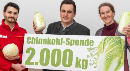 Steirischer Chinakohl fürs Rote  Kreuz