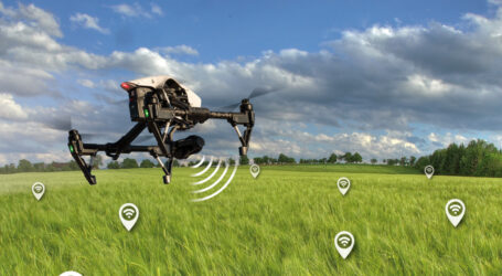 Mit Drohnen und KI Beikräuter  bekämpfen