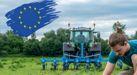 Schlüsselrolle für Bio