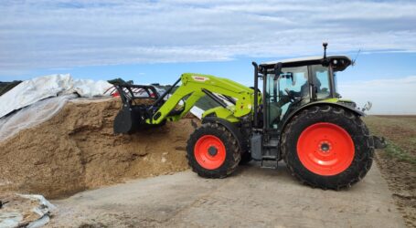 Der Wiederkehrer als Allrounder