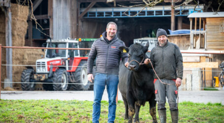 „Zämma“ wird es besser