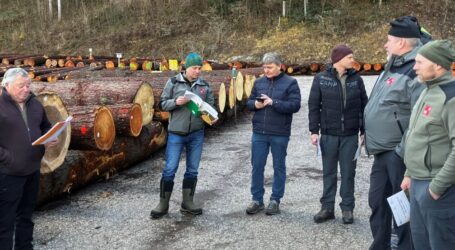 Rekordpreis für Fichte aus Schnann