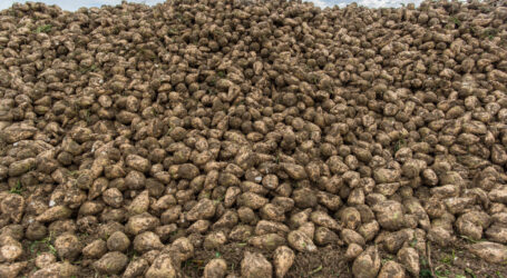 Saure Bilanz bei Agrana