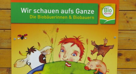 Jetzt bewerben: Bio-Award Steiermark 2025!