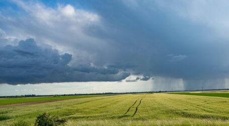 Nachhaltige Landwirtschaft im Kampf gegen den Klimawandel