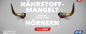 Stabile Erträge mit Korn-Kali (40/6/5,2) sichern