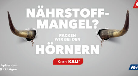 Stabile Erträge mit Korn-Kali (40/6/5,2) sichern
