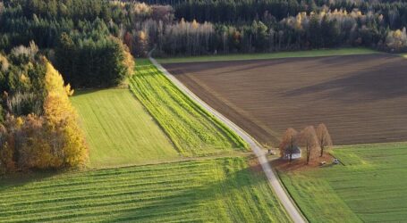 Kundenstimmen: Das Potenzial von Erfahrungsberichten für Unternehmen
