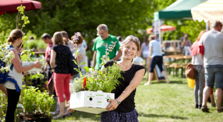 ARCHE NOAH: Jungpflanzen-Verkauf startet am 11. April