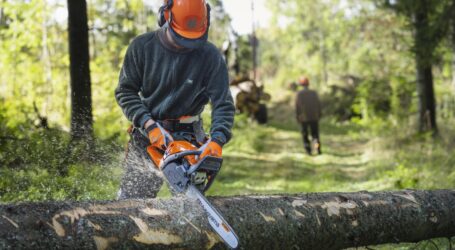 Husqvarna 450 X – die ultimative Motorsäge