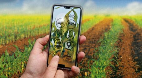 Digitalisierung in der modernen Landwirtschaft