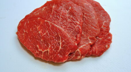 Fleisch aus dem 3D-Drucker essen