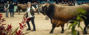 Viehzüchter treffen sich beim SOMMET