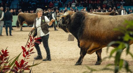 Viehzüchter treffen sich beim SOMMET