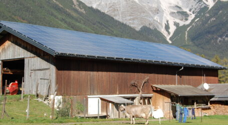 Heumilchbauern sind zukunftsorientiert