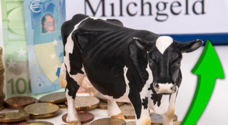 Tierwohl zahlt sich aus