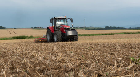 Stoppelbearbeitung – aber wie?