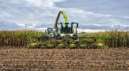 Claas Jaguar 1000 kommt im Herbst