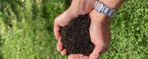 Humusaufbau bei Schlägler Biogesprächen