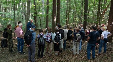 Führungen durch den Wald