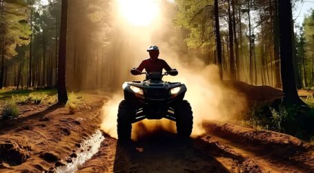 Quadfahrer als Ärgernis im Wald