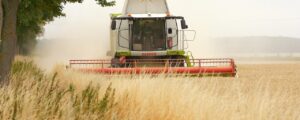 Landwirtschaft betreiben – lohnt sich das heute noch?