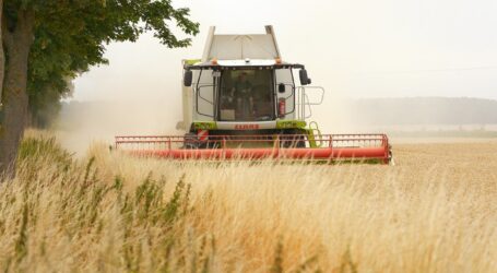 Landwirtschaft betreiben – lohnt sich das heute noch?