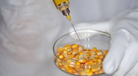 Diese Patente sind eine Gefahr