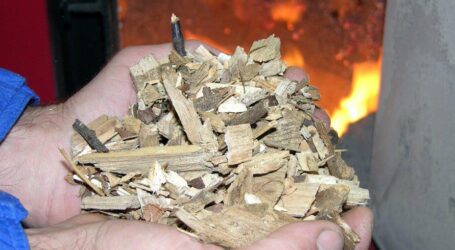 Gute Wärme wächst nach