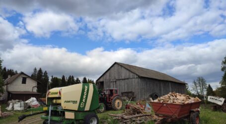 Grenznahe Erfahrungen