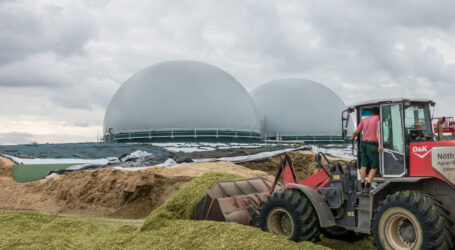 Chance für Biogas?