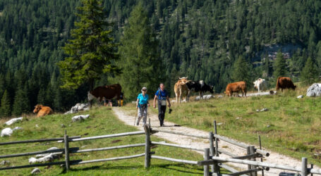 30 Jahre „Urlaub auf der Alm“