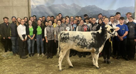 Erfolgreiche Jungzüchter