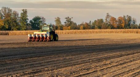 Pure Präzision in jeder Reihe