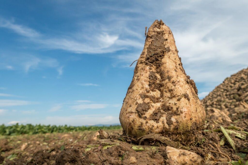 Stellenabbau bei Agrana
